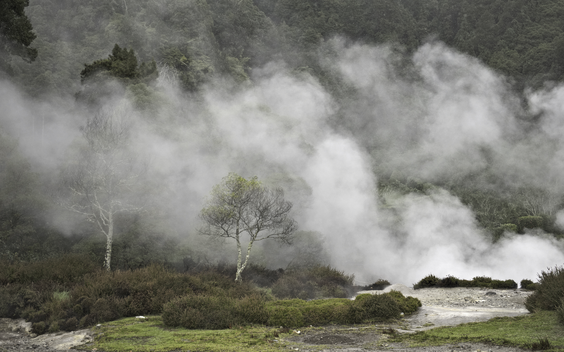 Das dank seiner heissen Quellen stetig dampfende Furnas auf São Miguel 