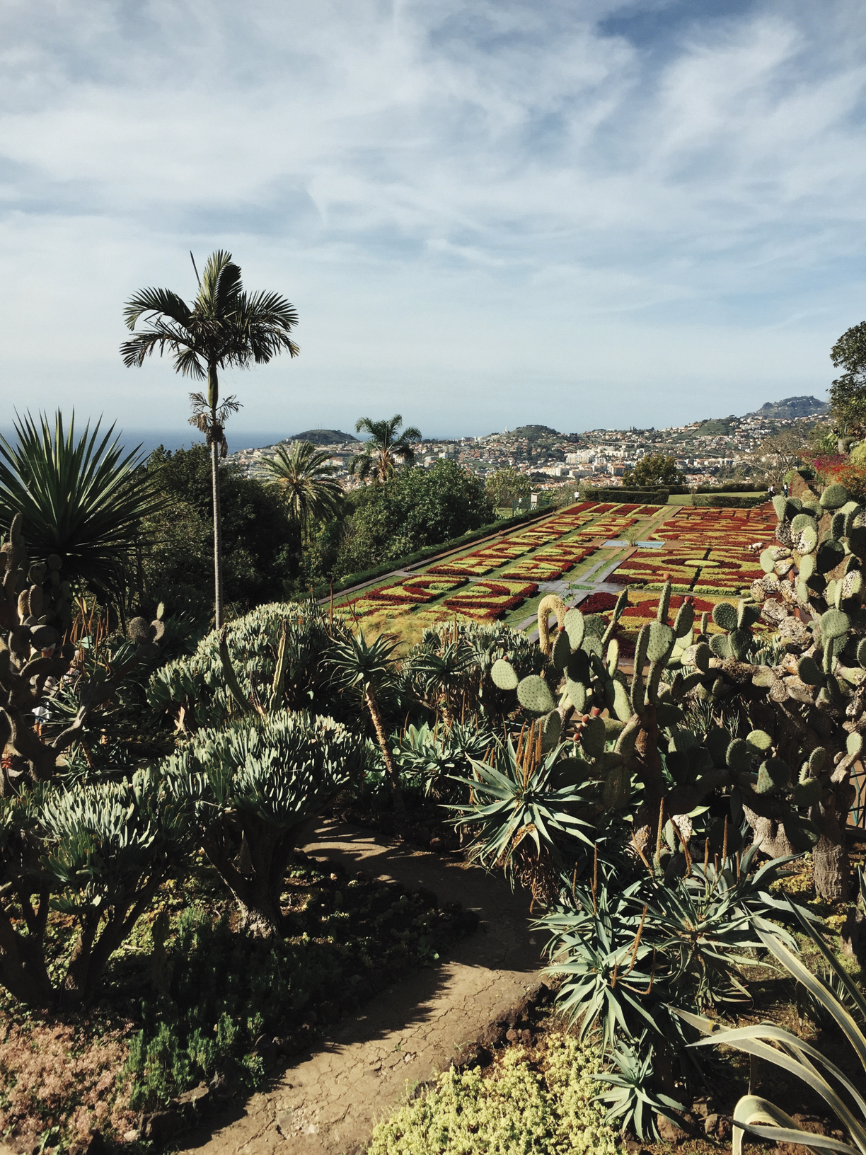  Botanischer Garten 