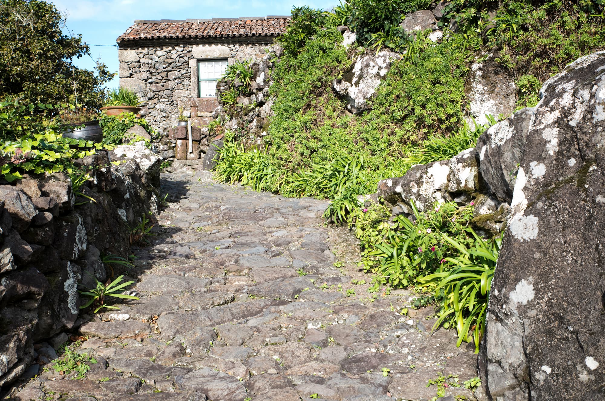 Aldeia da Cuada, Flores