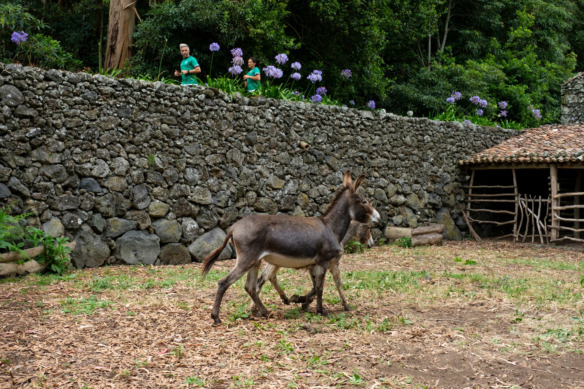 Quinta do Martelo, Terceira