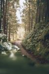 Wanderweg auf der Azoren-Insel São Miguel 
