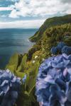 Blumenpracht auf den Inseln 