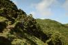 Wanderweg Serra do Topo zur Fajã dos Cubres – São Jorge 